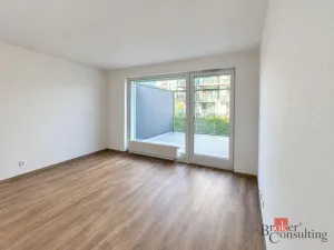 Prodej bytu 1+kk, Plzeň - Bolevec, Krašovská, 36 m2