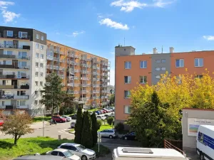 Prodej bytu 1+kk, Brno, Božetěchova, 29 m2