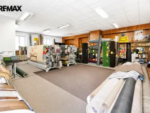 Prodej vícegeneračního domu, Doudleby nad Orlicí, Dukelská, 450 m2