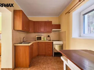 Prodej zemědělské usedlosti, Provodov-Šonov - Kleny, 170 m2