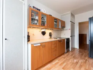 Prodej bytu 4+1, Chlumec, Vyklická, 81 m2