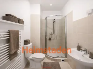 Pronájem bytu 1+kk, Karviná - Nové Město, Nedbalova, 25 m2