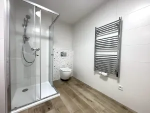 Pronájem bytu 1+kk, Plzeň - Jižní Předměstí, Železná, 35 m2