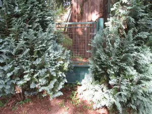 Prodej chaty, Dolní Žandov, 45 m2