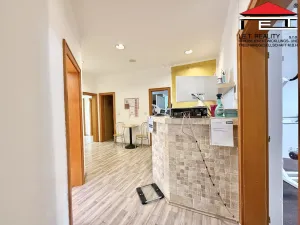 Pronájem obchodního prostoru, Brno, Orlí, 200 m2