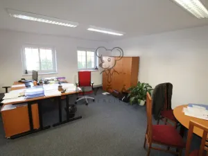 Pronájem kanceláře, České Budějovice - České Budějovice 1, Hradební, 29 m2