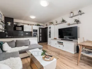 Prodej bytu 3+kk, Včelná, Pod Tratí, 72 m2