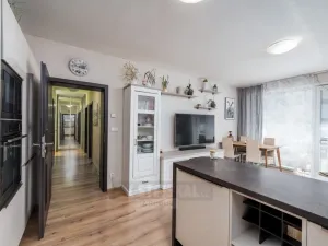 Prodej bytu 3+kk, Včelná, Pod Tratí, 72 m2