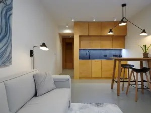 Pronájem bytu 1+kk, Praha - Smíchov, Radlická, 28 m2