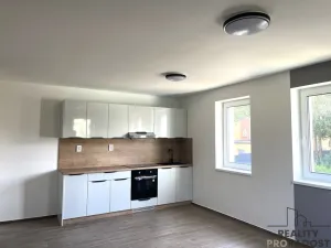 Pronájem ubytování, Třinec, Nad Tyrkou, 250 m2