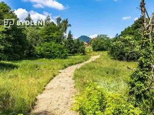 Prodej pozemku pro bydlení, Velemín, 5381 m2