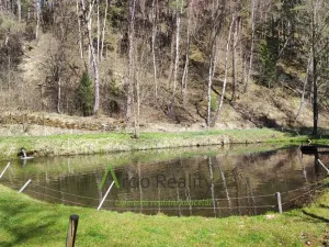 Prodej obchodního prostoru, Bohdalovice - Slubice, 649 m2