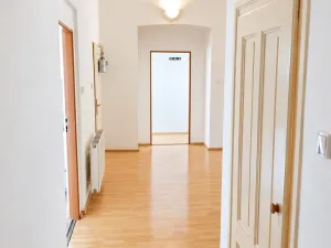 Pronájem pokoje, Plzeň - Jižní Předměstí, Hálkova, 17 m2