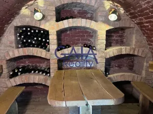 Prodej vinného sklepa, Krumvíř, 72 m2