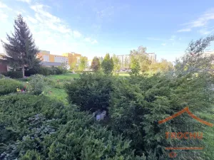 Prodej bytu 1+kk, Hradec Králové, Jana Masaryka, 3 m2