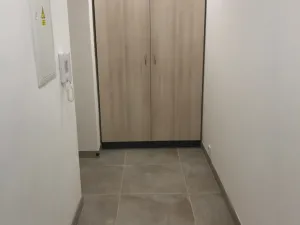 Pronájem bytu 1+kk, Hodonín, 41 m2