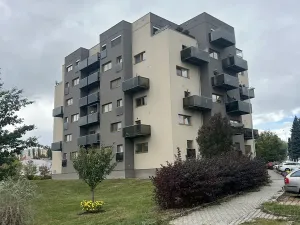 Prodej bytu 2+kk, Plzeň, U Velkého rybníka, 56 m2