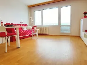 Pronájem bytu 1+kk, Brno, Sevastopolská, 38 m2