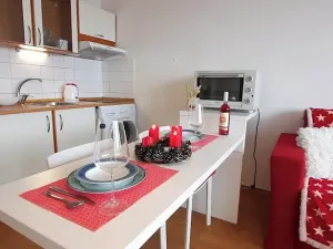 Pronájem bytu 1+kk, Brno, Sevastopolská, 38 m2
