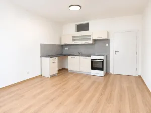 Prodej bytu 1+1, Brno - Židenice, Došlíkova, 50 m2