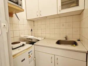 Pronájem bytu 1+kk, Brno, Pekařská, 25 m2