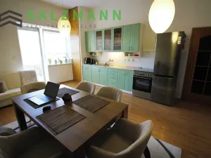 Pronájem bytu 2+kk, Plzeň, Rokycanská, 65 m2