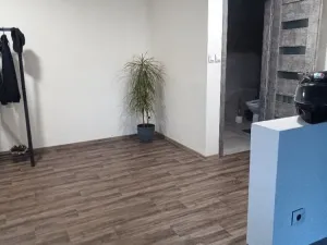 Prodej zemědělské usedlosti, Kramolín, 1060 m2
