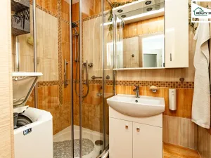 Prodej bytu 3+1, Cheb, Nová, 60 m2