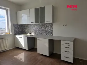 Pronájem bytu 1+1, Krupka - Bohosudov, Horní, 45 m2
