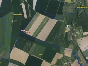 Prodej pole, Lozice, 10021 m2