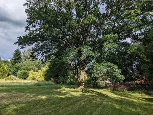 Prodej pozemku pro bydlení, Blažejovice, 3609 m2