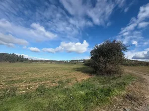 Prodej pole, Županovice, 85916 m2