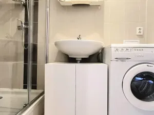Pronájem bytu 1+1, Brno, Kartouzská, 46 m2