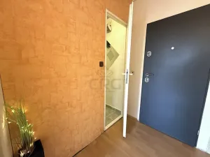 Prodej bytu 1+kk, Brno, Okrouhlá, 32 m2