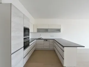 Pronájem bytu 3+kk, Praha - Podolí, Sinkulova, 107 m2