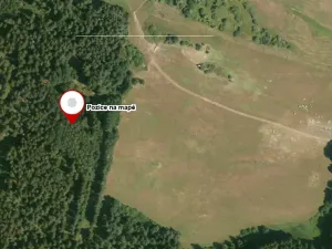 Dražba lesa, Dlouhý Újezd, 7291 m2