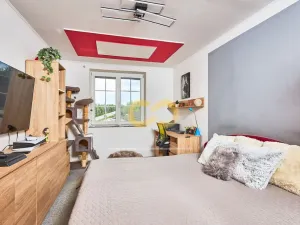 Prodej obchodního prostoru, Písek, U Hřebčince, 430 m2