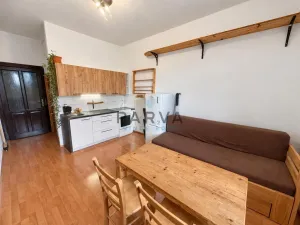 Pronájem bytu 1+kk, Plzeň - Severní Předměstí, Lipová, 26 m2