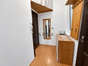 Pronájem bytu 1+kk, Plzeň - Severní Předměstí, Lipová, 26 m2