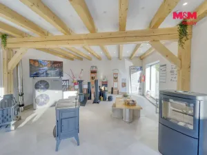 Prodej obchodního prostoru, Jesenice, Žatecká, 453 m2