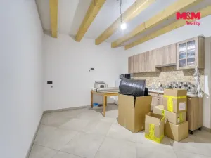 Prodej obchodního prostoru, Jesenice, Žatecká, 453 m2