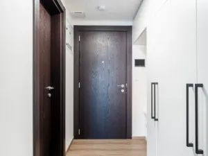 Pronájem bytu 2+kk, Olomouc - Nová Ulice, Třída Jiřího Pelikána, 44 m2