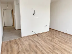 Prodej bytu 1+1, Plzeň - Bolevec, Krašovská, 36 m2