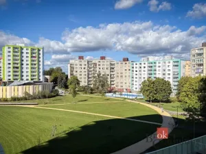 Prodej bytu 1+1, Plzeň - Bolevec, Krašovská, 36 m2