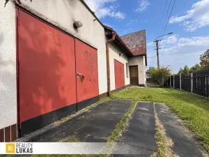 Prodej obchodního prostoru, Ostrava, Ostravská, 189 m2