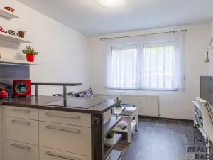 Prodej bytu 2+kk, Starý Plzenec, Herejkova, 41 m2