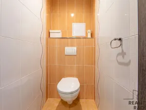 Prodej bytu 2+kk, Starý Plzenec, Herejkova, 41 m2