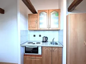 Pronájem bytu 1+kk, Benešov - Bedrč, 24 m2