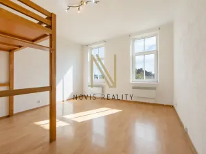 Pronájem bytu 1+1, Plzeň, Plzenecká, 42 m2