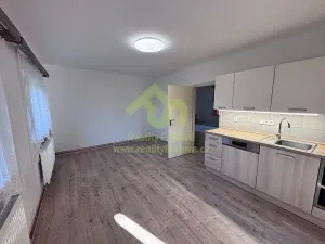 Pronájem rodinného domu, Rokycany, Stará cesta, 41 m2